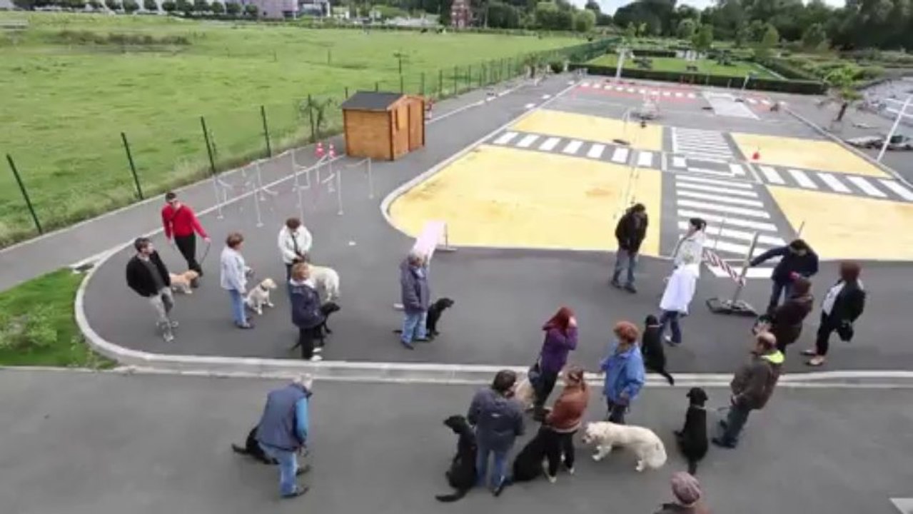 Reportage à la nouvelle école de chiens guides d'aveugles, à Roncq