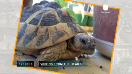 Passi avanti nello studio delle patologie cardiache...