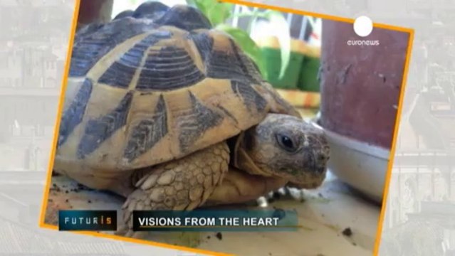 Pédiatrie : le numérique à la rescousse des cardiologues