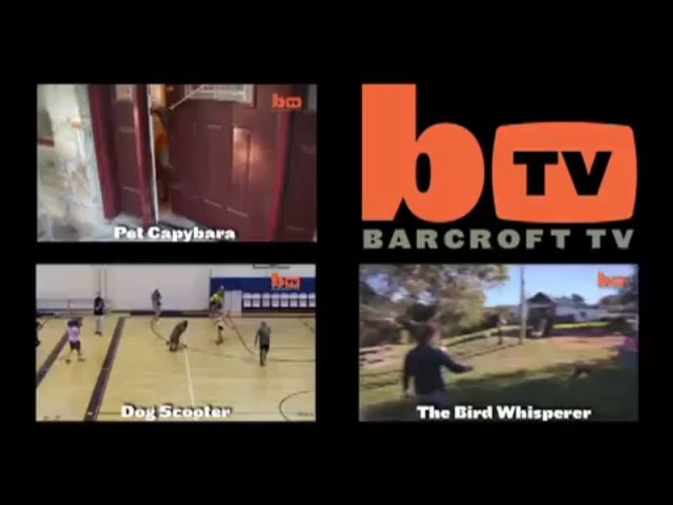 Tiger Cub, Baby Baboon & Sausage Dog Friends