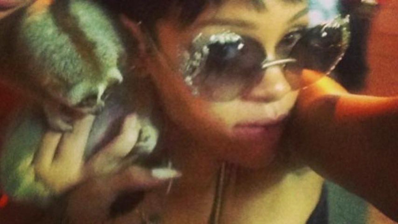Rihanna's Instagram Selfie With Slow Loris Leads Police to Smugglers