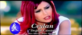 Ceylan   Dogum Günüm (nostalji) by feridi