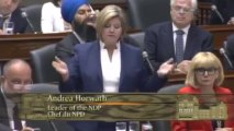 NDP Leader Andrea Horwath Questions Energy Minister Thunder Bay OPG