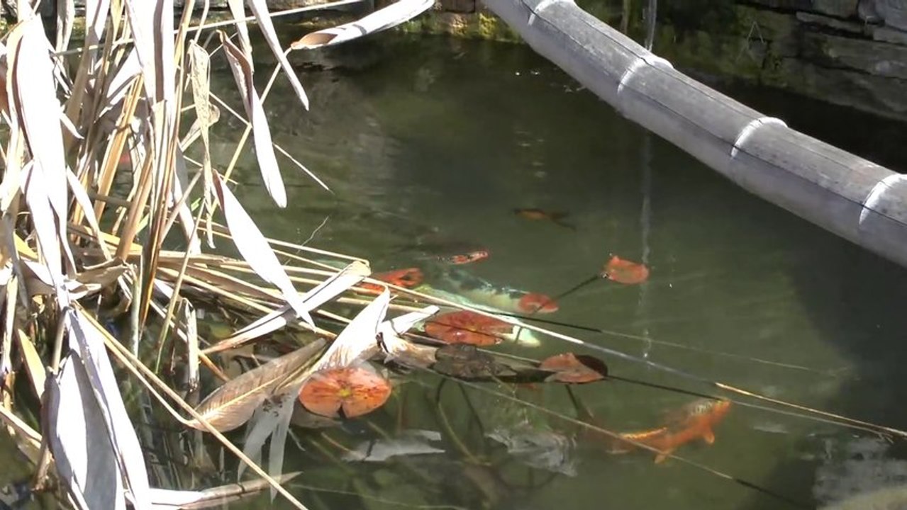 2012- Jardin en mars