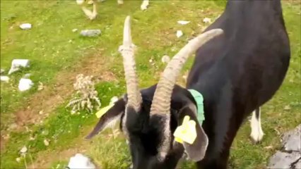 Ne passons pas  côté des choses Simples... C'est tellement plus VRAI !!! 2