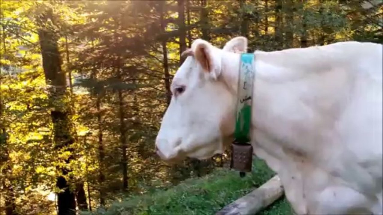 Ne passons pas  côté des choses Simples... C'est tellement plus VRAI !!! 5