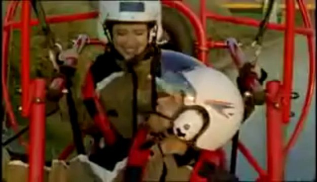 dlaczego nie ONLINE PL 2013 CAŁY FILM LEKTOR CZYTAJ OPIS