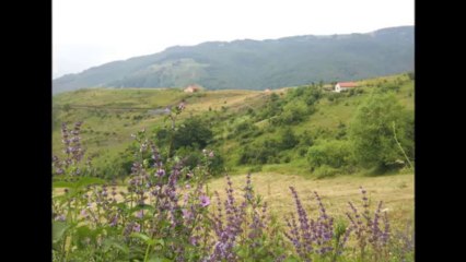 Isa dhe Rrahmani - Lulzoj fusha lulzoj mali