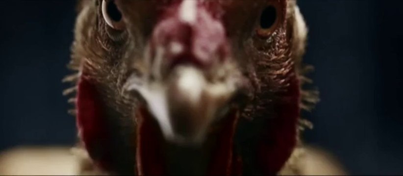 Pub Mercedes-Benz Poules