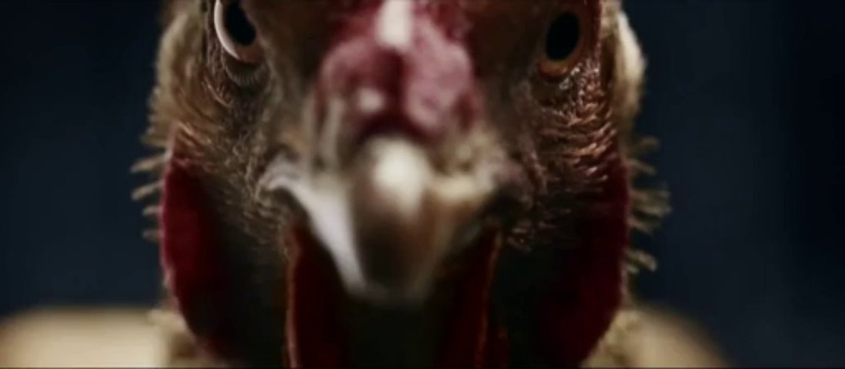 Pub Mercedes-Benz Poules