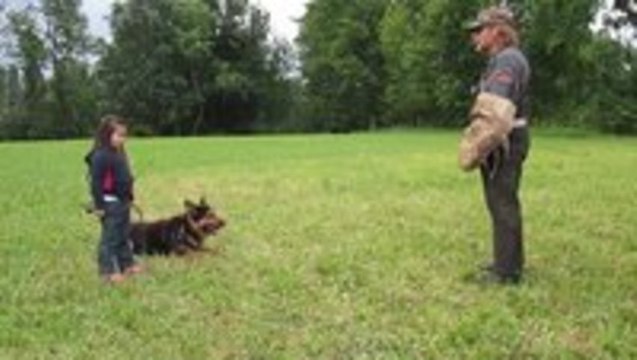A 5 Year Old Girl Getting Protected By Her German Shepherd