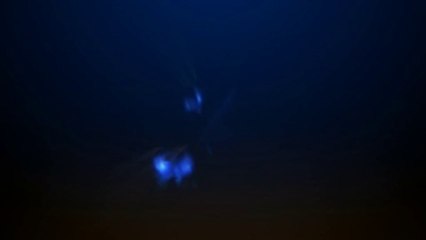 Blue Plasma Logo Stinger - After Effects Template