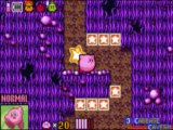 Kirby and the Amazing Mirror Playthrough Part 3