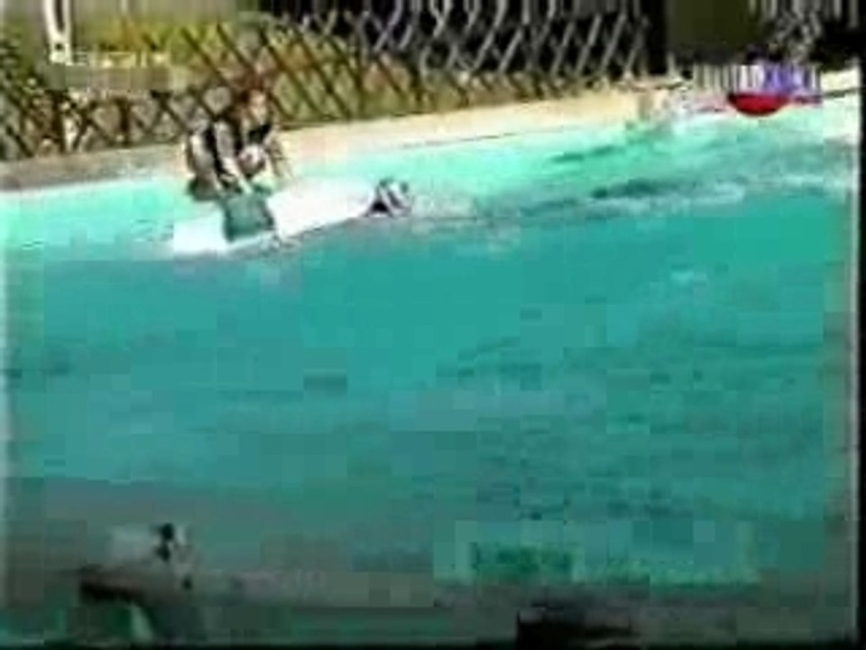 kinder-jackass