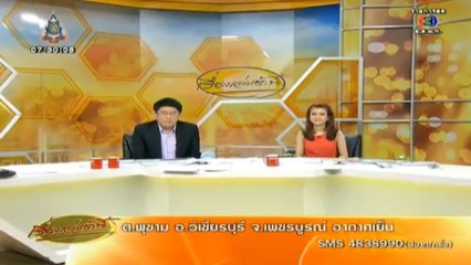 RuengLoa-24-Sep-2013_clip2