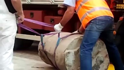 23 09 13 PD IMM STATUA GATTA PADOVA