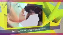 Pets Everywhere | One Stop Pet Supplies and Accessories in Adelaide