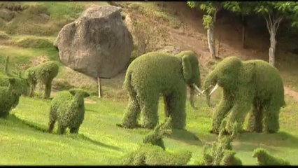 Sanctuary Garden at Ramoji Film City