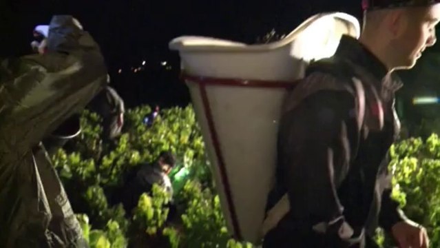 Vendanges nocturnes à Chénas dans le Beaujolais