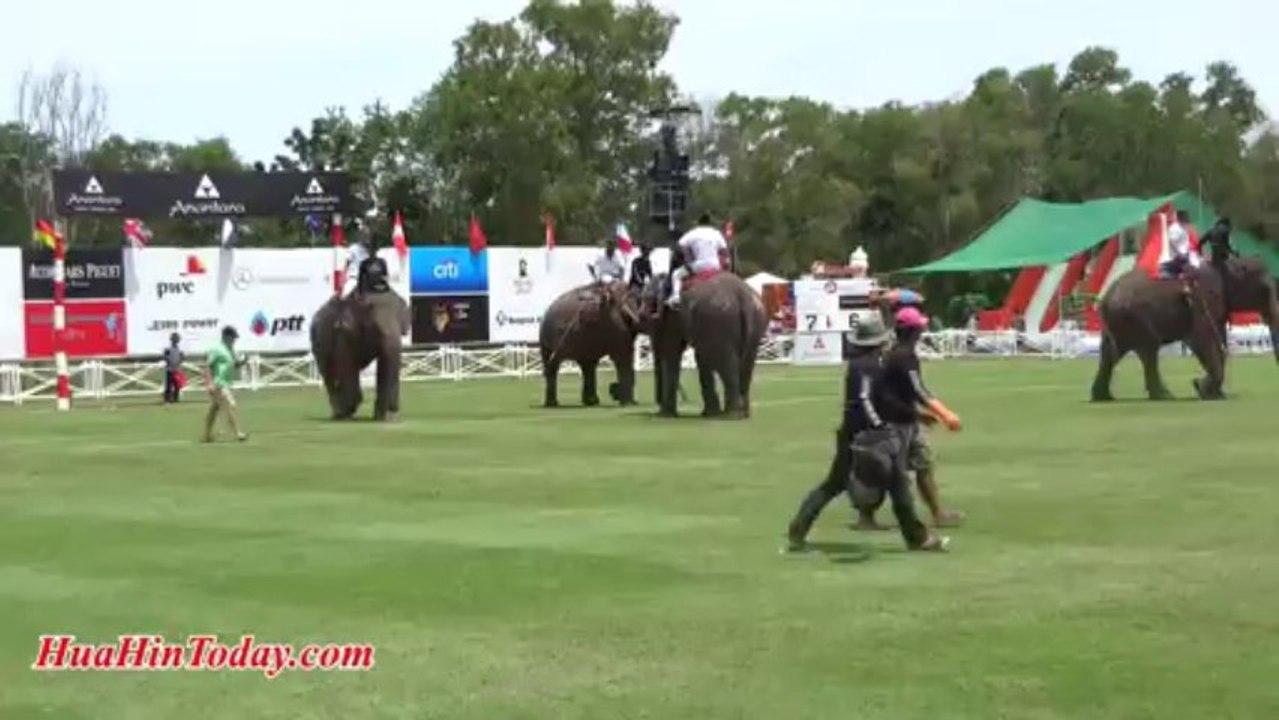 Hua Hin Today - 2013 Anantara Elephant Polo, Mercedes Wins The Match
