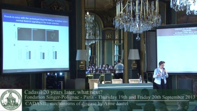 Anne Joutel - CADASIL, mechanisms of disease