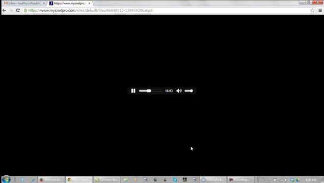 Tom Mower On Sisel Kaffe 3