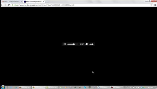 Tom Mower On Sisel Kaffe 5