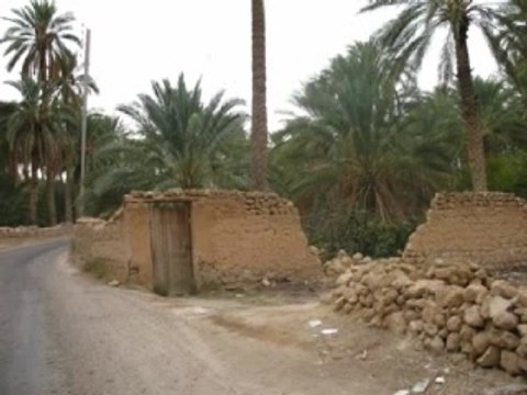 Biskra, Tolga, Boussâada...