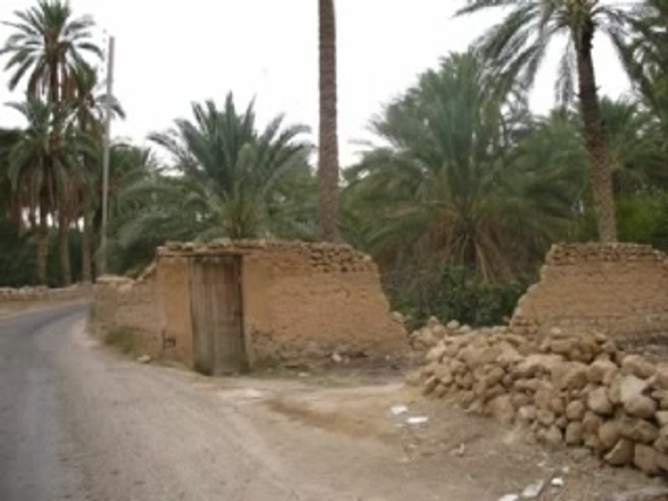 Biskra, Tolga, Boussâada...