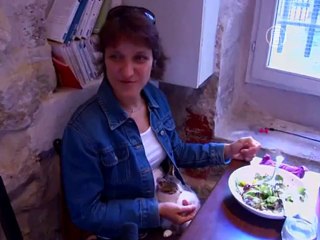 В Париже открылось «кошачье» кафе