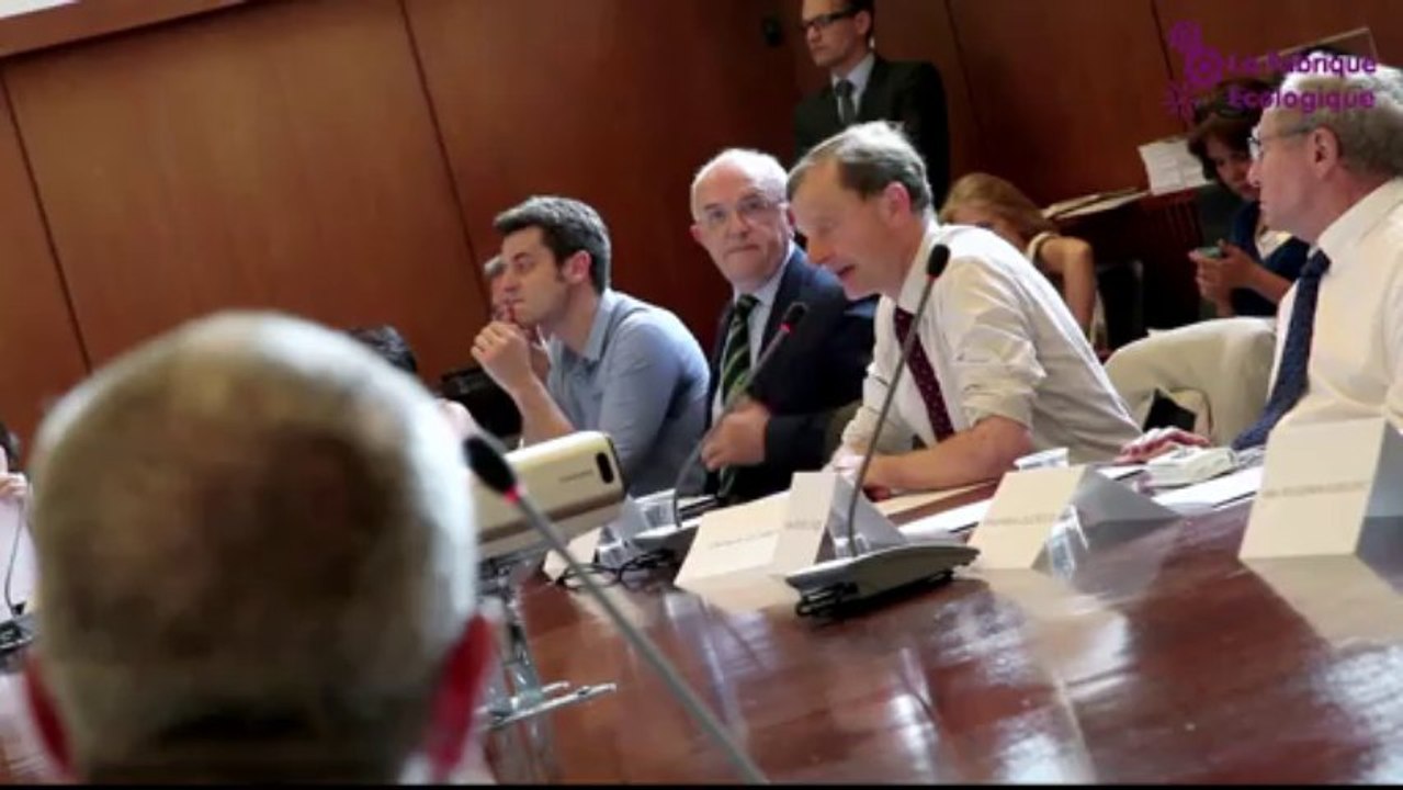 Interview Géraud Guibert