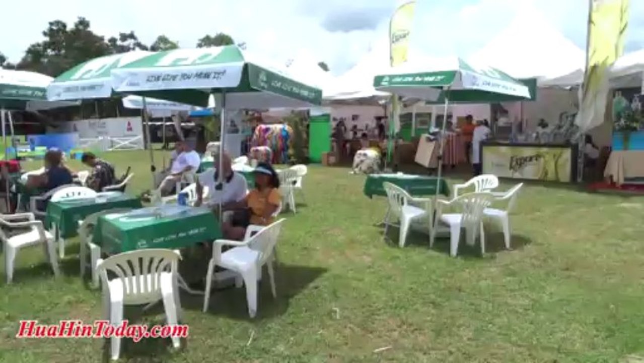 Hua Hin Today -King's Cup Elephant Polo 2013