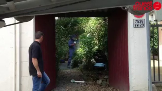 Deux essaims d'abeille dans la Grand rue - Fait divers