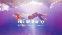 Festival Papillons de Nuit rendez-vous les 6.7.8 juin 2014 !