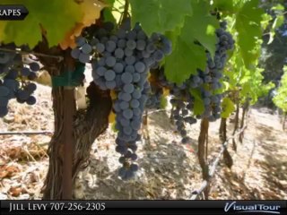 7730 Silverado Trail