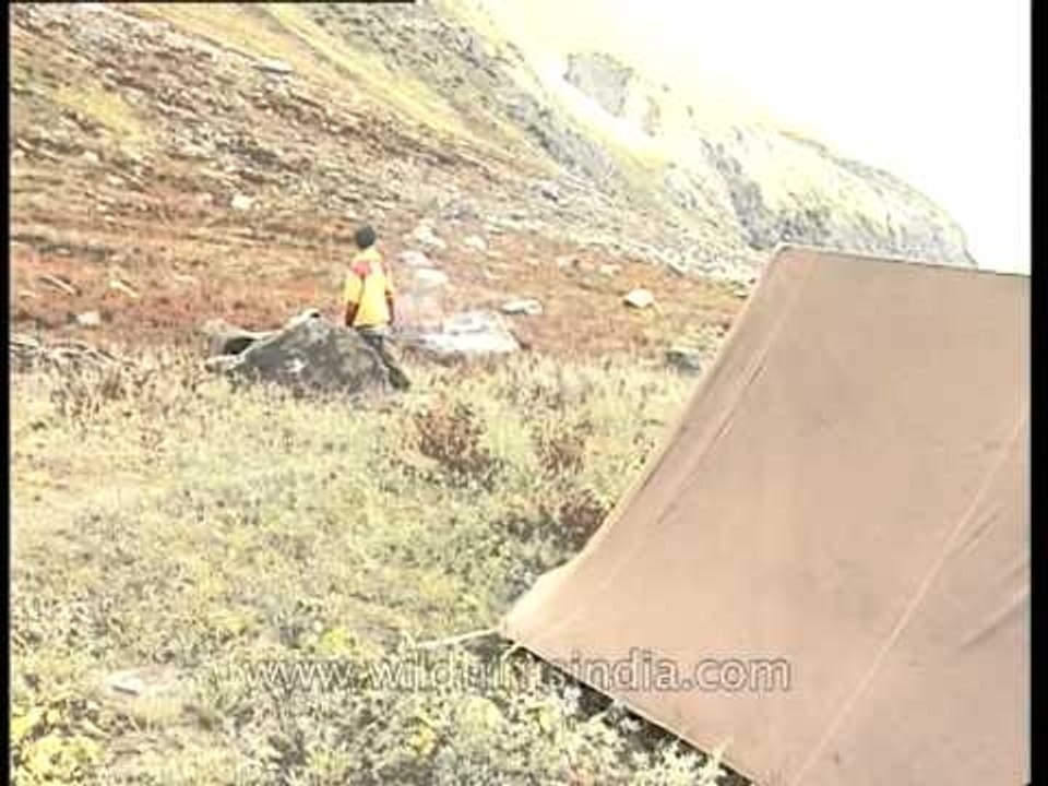 Gangotri range base camp tents on Rudragaira slopes