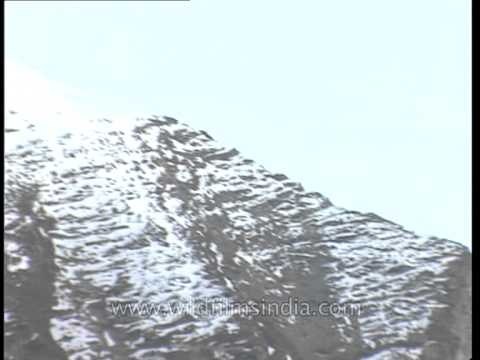 Jogin spires from Gangotri peaks valley around Rudragaira