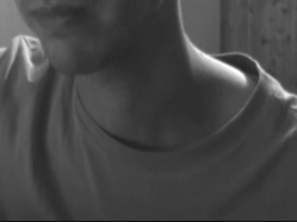 Alain Bashung - La Nuit Je Mens Cover