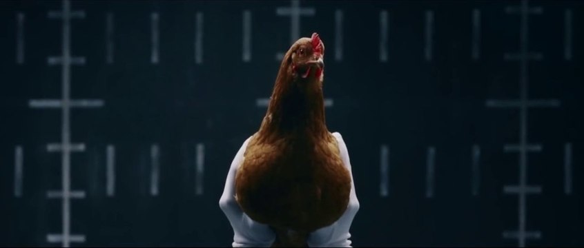 Une publicité Mercedes avec des poules