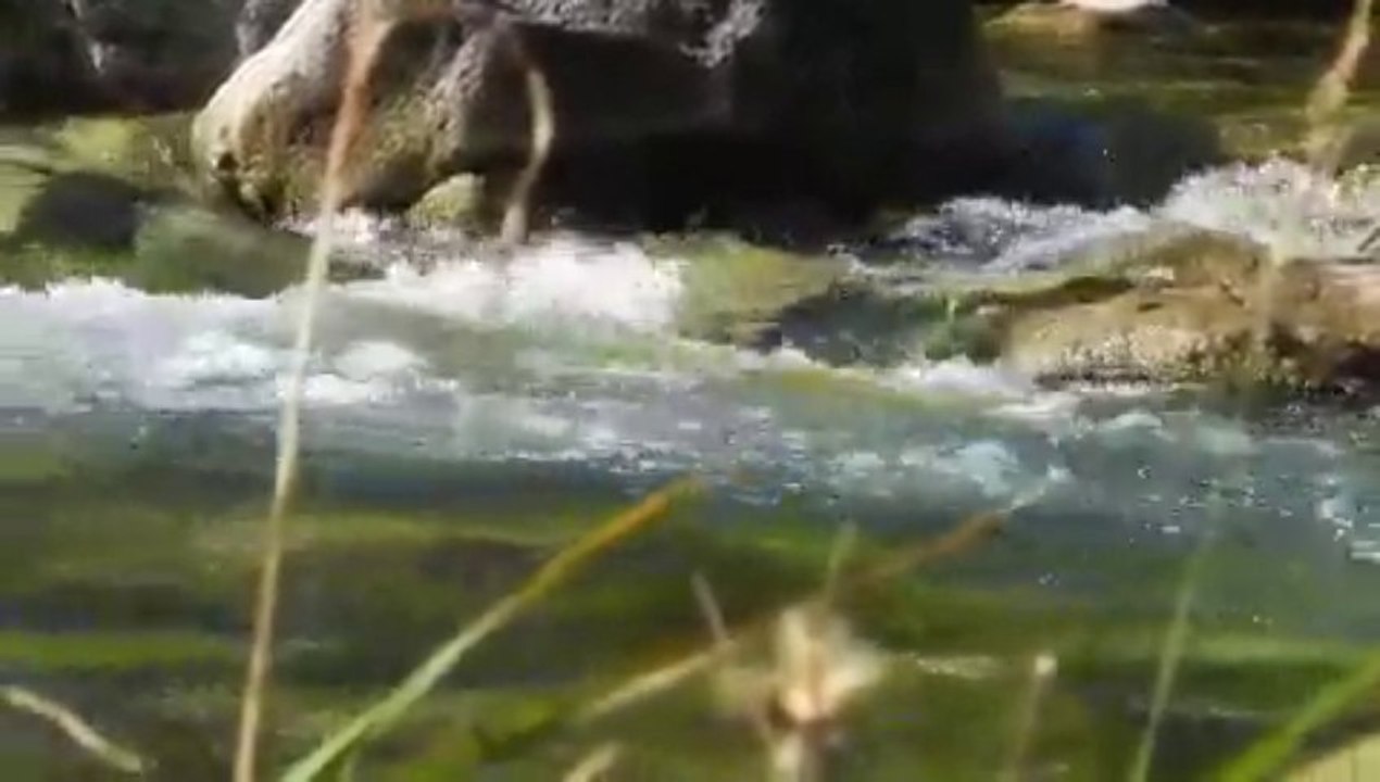 Montagnes Pyrénees vous êtes mes amours !