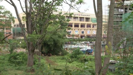 UN envoy calls for intensified campaign against Shebab