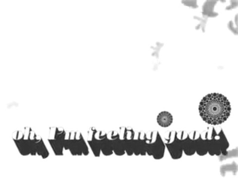 Nina Simone: Feeling Good