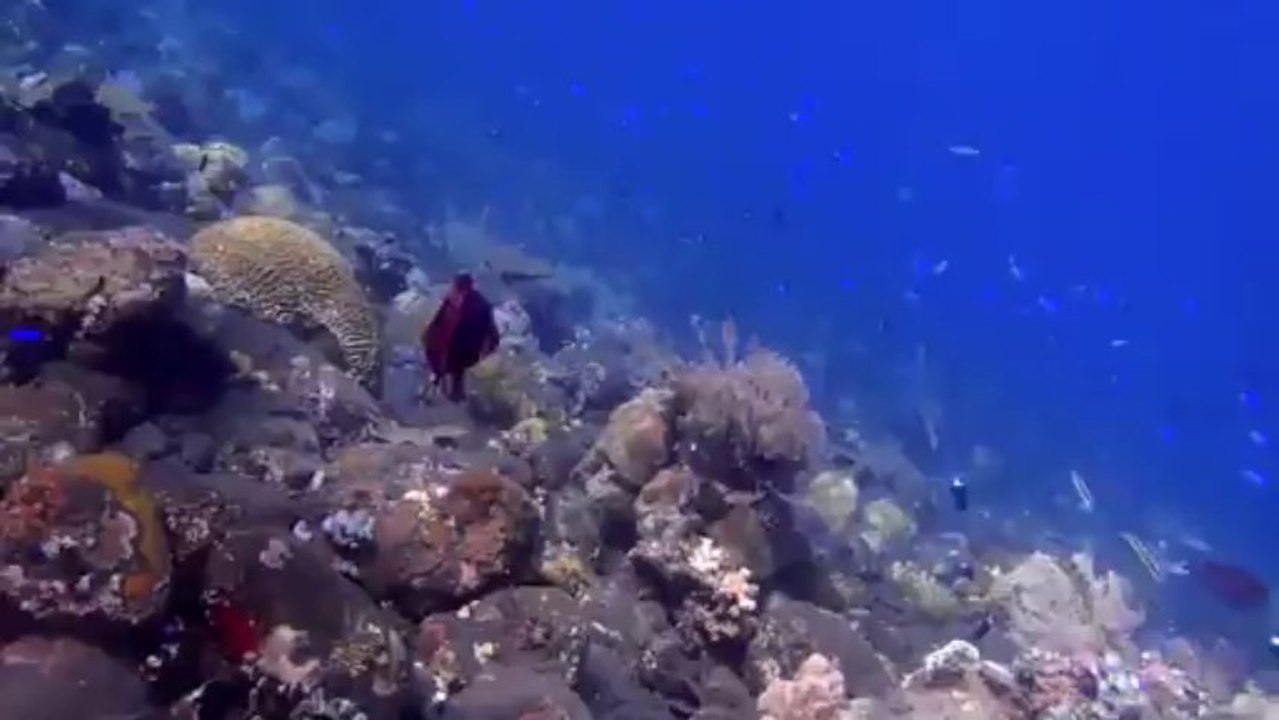 Indonésie trip video