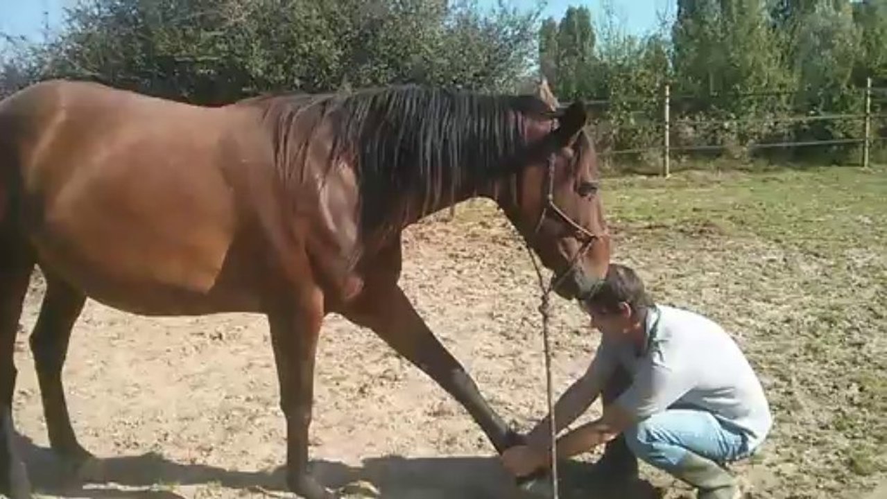 Shiatsu Leila