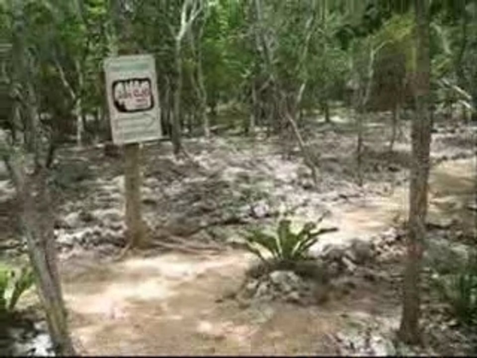 Voyage au Mexique avec mon Père 1