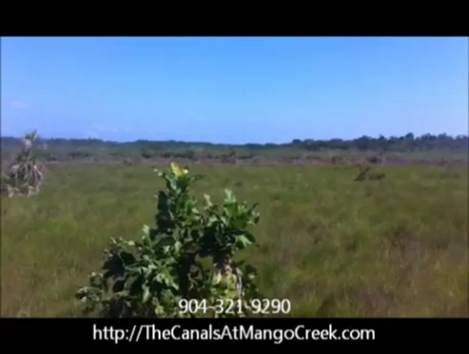 Real Estate Belize |The Canals at Mango Creek |904-321-9290