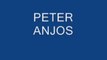 PETER ANJOS CoComment 