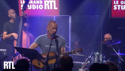 Sting - August Winds en live dans le Grand Studio RTL