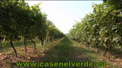 Cascine Nel Verde " Monferrato "