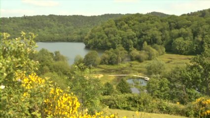 Zone humide du lac d'Aydat